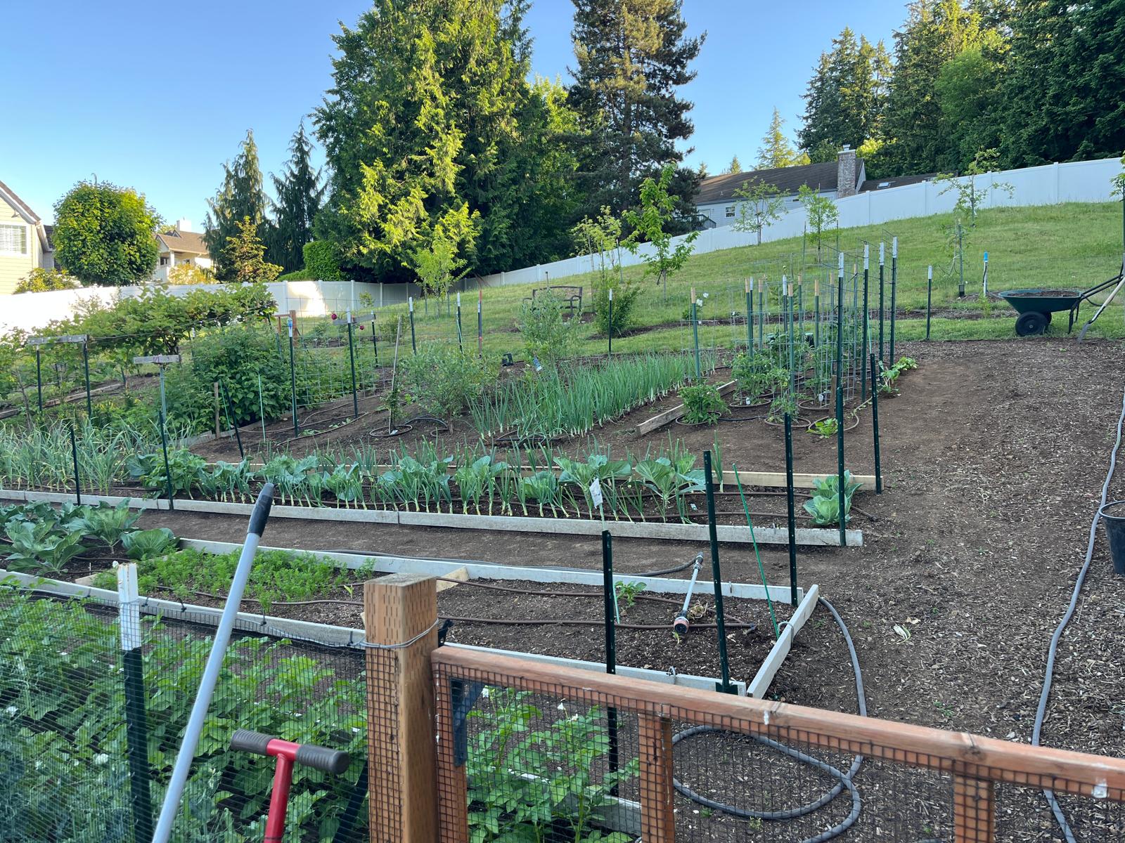 My Backyard Taught Me To Build Safer Software